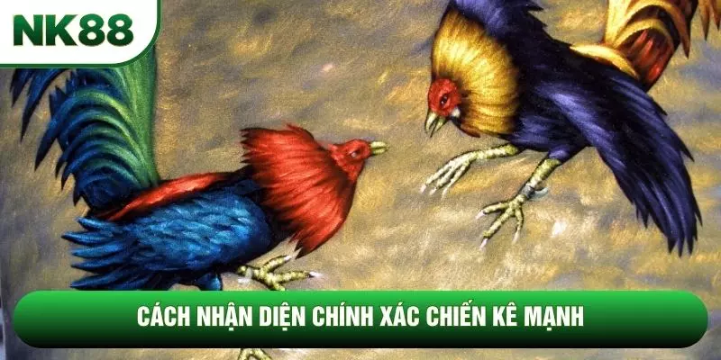 Cách nhận diện chính xác chiến kê mạnh