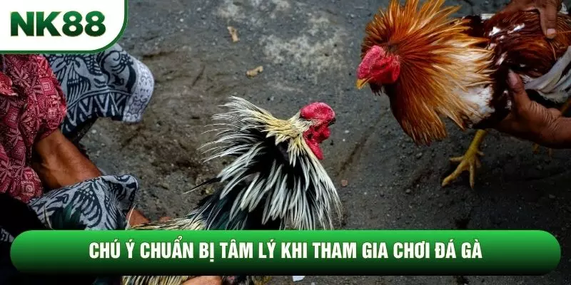 Chú ý chuẩn bị tâm lý khi tham gia chơi đá gà