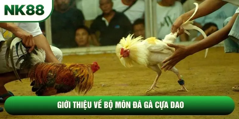 Giới thiệu về bộ môn đá gà cựa dao