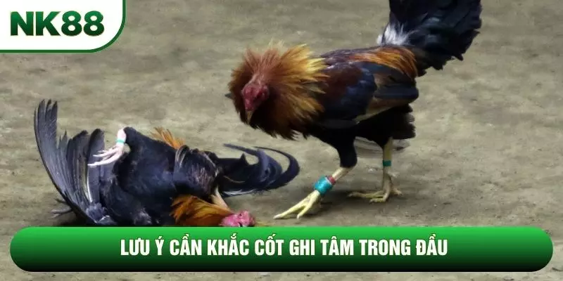 Lưu ý cần khắc cốt ghi tâm trong đầu