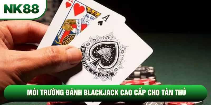 Môi trường đánh blackjack cao cấp cho tân thủ