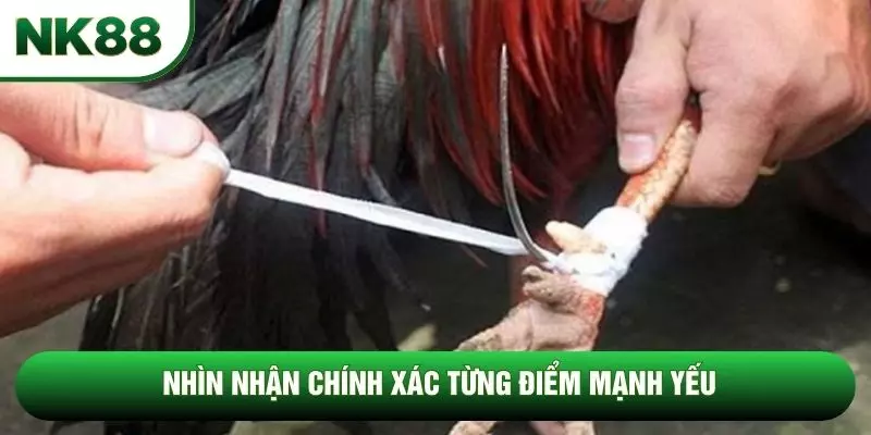 Nhìn nhận chính xác từng điểm mạnh yếu