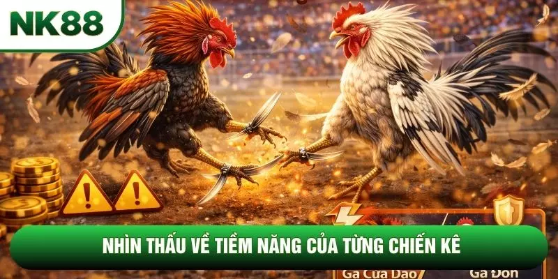 Nhìn thấu về tiềm năng của từng chiến kê