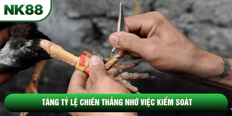 Tăng tỷ lệ chiến thắng nhờ việc kiểm soát
